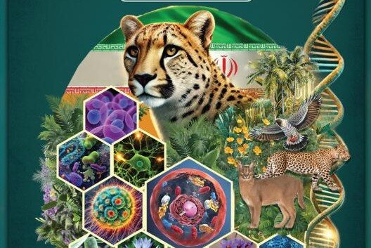 بیوتکنولوژی؛ ثروتی که به دلیل کم‌توجهی همچنان خاک می‌خورد