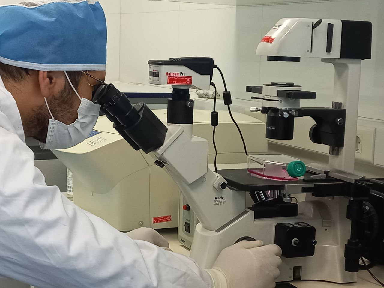 بیوتکنولوژی؛ ثروتی که به دلیل کمتوجهی همچنان خاک میخورد