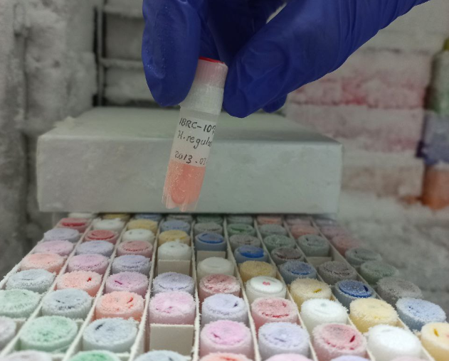 بیوتکنولوژی؛ ثروتی که به دلیل کمتوجهی همچنان خاک میخورد