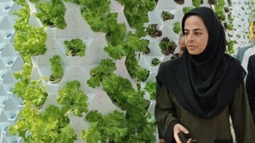فرماندار هامون: ضرورت استفاده از روش‌های نوین کشاورزی در خشکسالی سیستان