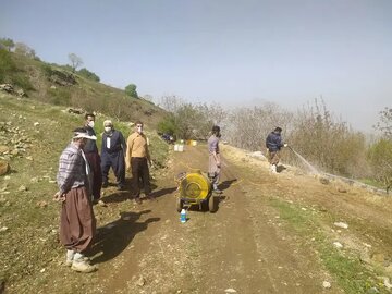 ضرورت تسریع در مبارزه با آفات در مزارع کردستان