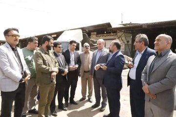 میدان تره بار خرم‌آباد باید تا یک ماه آینده ساماندهی شود