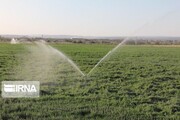 ۱۹۳۹ هکتار از مزارع اصفهان به سامانه‌های نوین آبیاری مجهز شد
