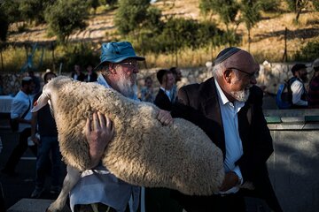 ذبح قربانی گامی خطرناک از سوی صهیونیستها علیه مسجدالاقصی است