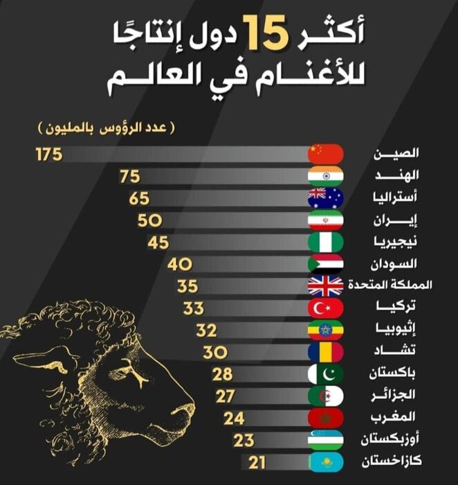 ایران در رتبه چهارم تولید دام سبک؛ چرا قیمتها تعدیل نمیشود؟