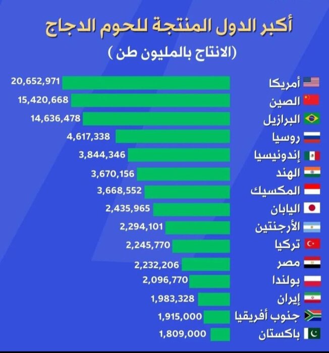 ایران در رتبه چهارم تولید دام سبک؛ چرا قیمتها تعدیل نمیشود؟