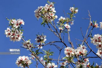 خروج سامانه بارشی و استقرار جوی پایدار در گیلان