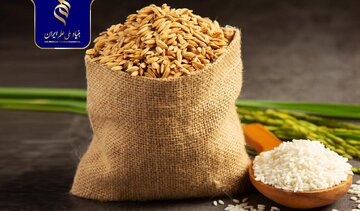 بررسی مولکولی بذر برنج برای تولید باکیفیت در ایران