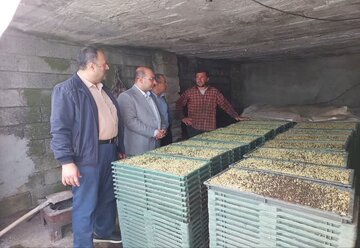 نخستین بانک نشاء مکانیزه در آستارا راه‌اندازی شد