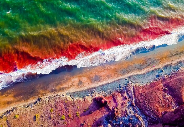 راهاندازی نرمافزار«وارمی»؛ گامی نو در مدیریت ورود گردشگران به جزیره هرمز