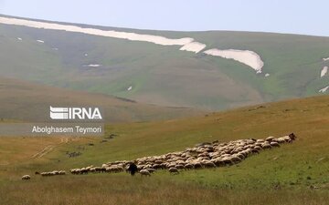 سال بی‌باران خراسان‌شمالی؛ دامداران زود به مراتع نروند
