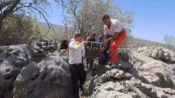گردشگران مراقب گزش حشرات و جانوران در طبیعت باشند
