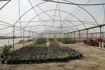 زمین برای احداث شهرک‌های گلخانه ای در سقز به سرمایه گذار واگذار می‌شود