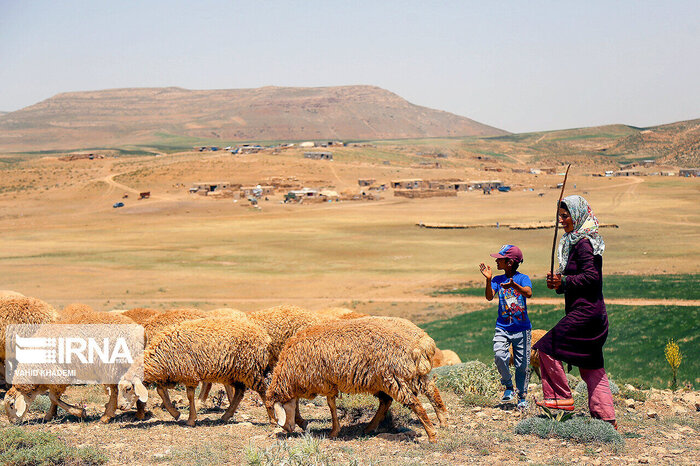 پیوند سرمایهگذاری و تولید برای ایجاد اشتغال و توسعه پایدار در مازندران