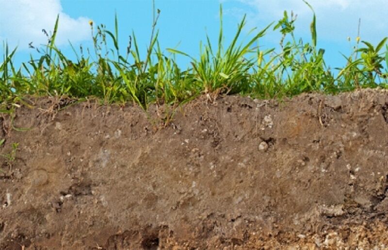 وضعیت خاک اراضی کشاورزی نگران کننده است وضعیت خاک اراضی کشاورزی نگران کننده است