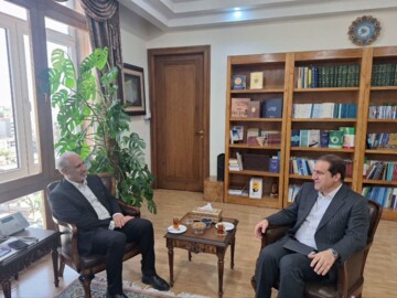 استاندار: ۳۳۰ میلیارد تومان مابه‌التفاوت درآمدهای ایلام تحقق می‌یابد