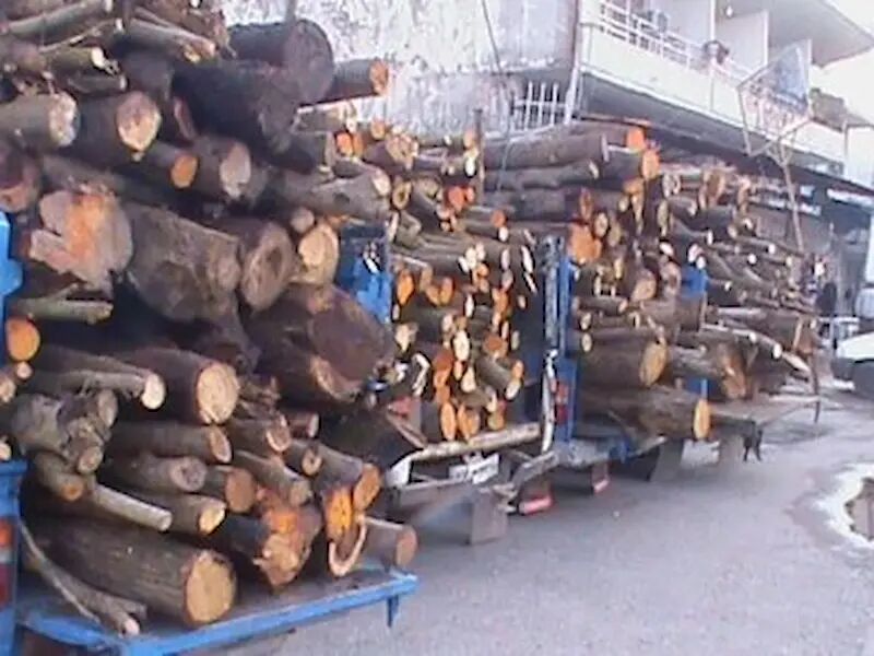 ۲ تن چوب درختان جنگلی قاچاق در گچساران کشف شد