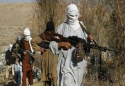 یک فرمانده طالبان پاکستان و طراح بمب‌گذاری علیه نیروهای خارجی کشته شد