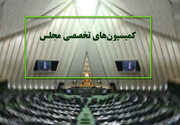 بررسی کالابرگ الکترونیک و سلامت کشور در دستور کار کمیسیون‌های مجلس