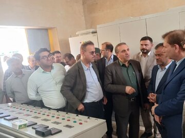اصلاح روش آبیاری نخلستان‌های بوشهر حیاتی است
