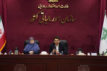 سخنگوی دولت: برای کسانی که مالیات خود را به موقع می‌پردازند از ابزارهای تشویقی استفاده شود