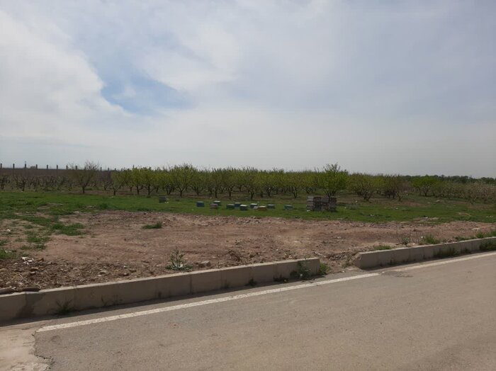 چشم انتظاری سالمندان قزوین پشت دیوارهای آسایشگاه