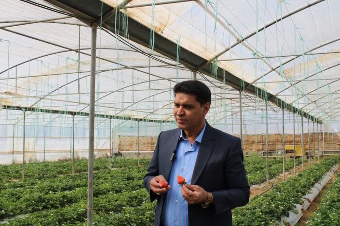 از شرارت تا تلاش برای معاش