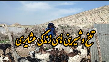 فیلم / تلخی و شیرینی‌های زندگی عشایری