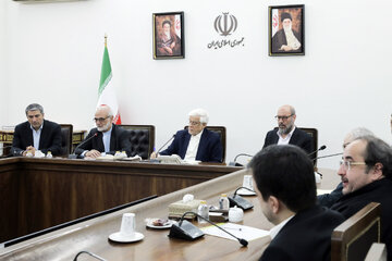 عارف: نهادهای انقلاب اسلامی در جایی وارد شوند که بخش خصوصی و دولت توان ورود ندارند