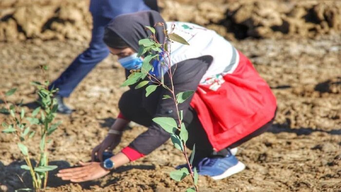آموزش بیش از ۱۱ هزار دانش‌آموز در حوزه تغییرات اقلیمی در قالب طرح ملی «دادرس سبز»
