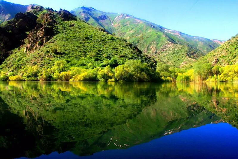 سردمداران علم پزشکی، زاده روستایی از توابع تفرش