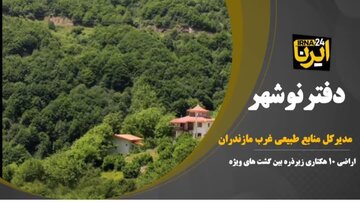 فیلم| اراضی جنگلی «۱۰ هکتاری غرب مازندران» زیر ذره‌بین گشت‌های نظارتی