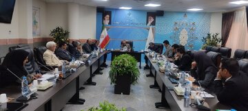 تامین برنج و گوشت کشور از طریق مرزهای سیستان و بلوچستان امکانپذیر است