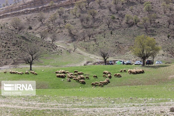 فقر مراتع چالشی جدی فرا روی عشایر کهگیلویه و بویراحمد