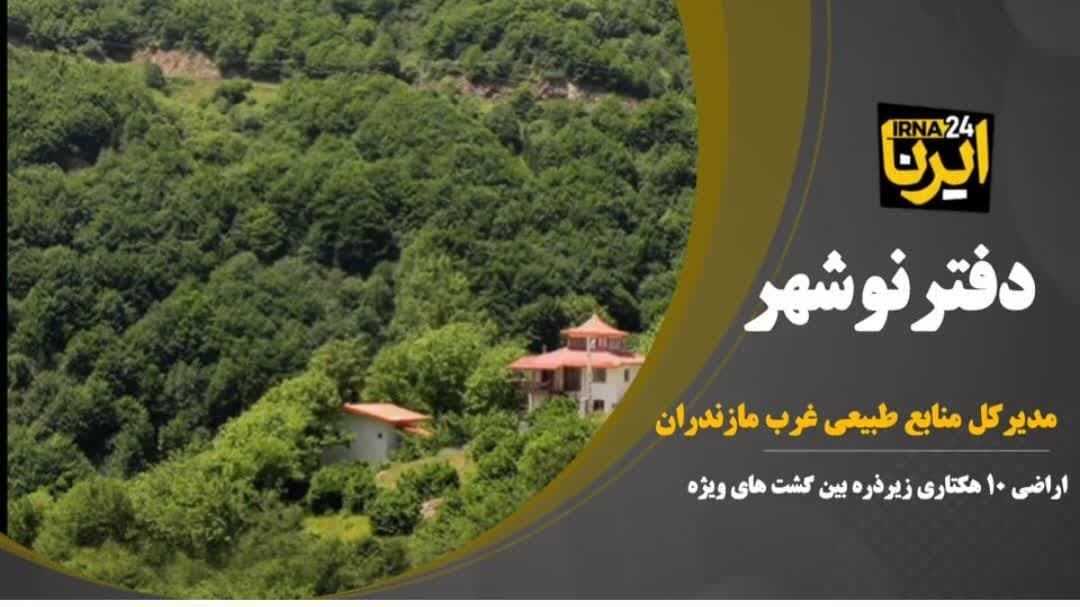 فیلم| اراضی جنگلی «۱۰ هکتاری غرب مازندران» زیر ذره‌بین گشت‌های نظارتی