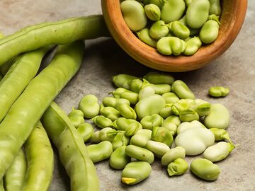 چگونه باقلا را آماده کنیم؛ از پوست‌گیری تا خشک کردن بهینه