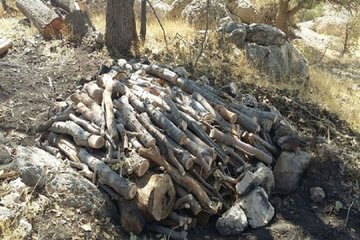 مقابله جدی با تولید زغال از منابع طبیعی در سیستان و بلوچستان