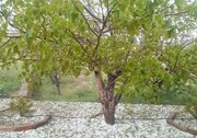 تداوم افزایش دما در آذربایجان شرقی/ احتمال بارش تگرگ در نواحی مستعد