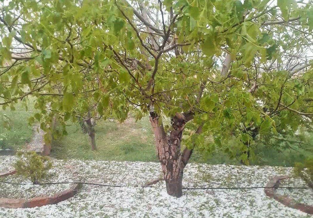 هشدار بارش تگرگ در شهرهای شمالی و شرقی آذربایجانشرقی هشدار بارش تگرگ در شهرهای شمالی و شرقی آذربایجانشرقی