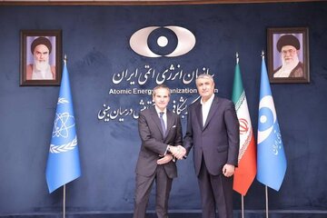 مدیرکل آژانس بین‌المللی انرژی اتمی با اسلامی دیدار کرد