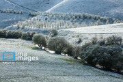 In photos: Spring snow in Iran's western province; Kordestan