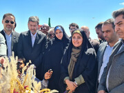 وزیر راه وشهرسازی وارد خور و بیابانک شد