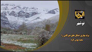برف بهاری جنگل‌های هیرکانی را سفیدپوش کرد