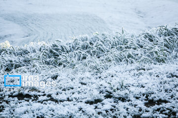 In photos: Spring snow in Iran's western province; Kordestan
