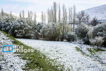 In photos: Spring snow in Iran's western province; Kordestan