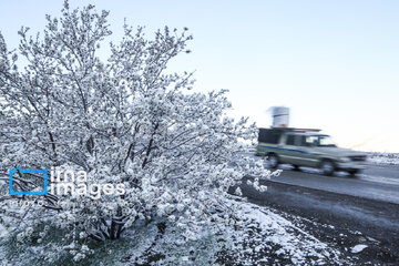 In photos: Spring snow in Iran's western province; Kordestan