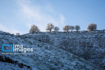 In photos: Spring snow in Iran's western province; Kordestan