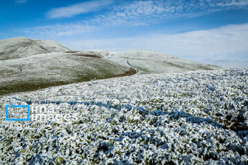 In photos: Spring snow in Iran's western province; Kordestan