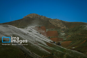 In photos: Spring snow in Iran's western province; Kordestan