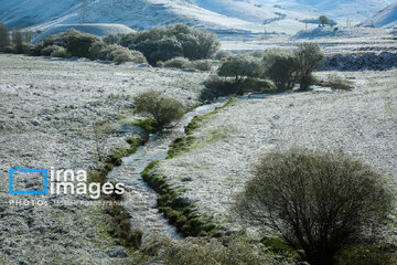 In photos: Spring snow in Iran's western province; Kordestan